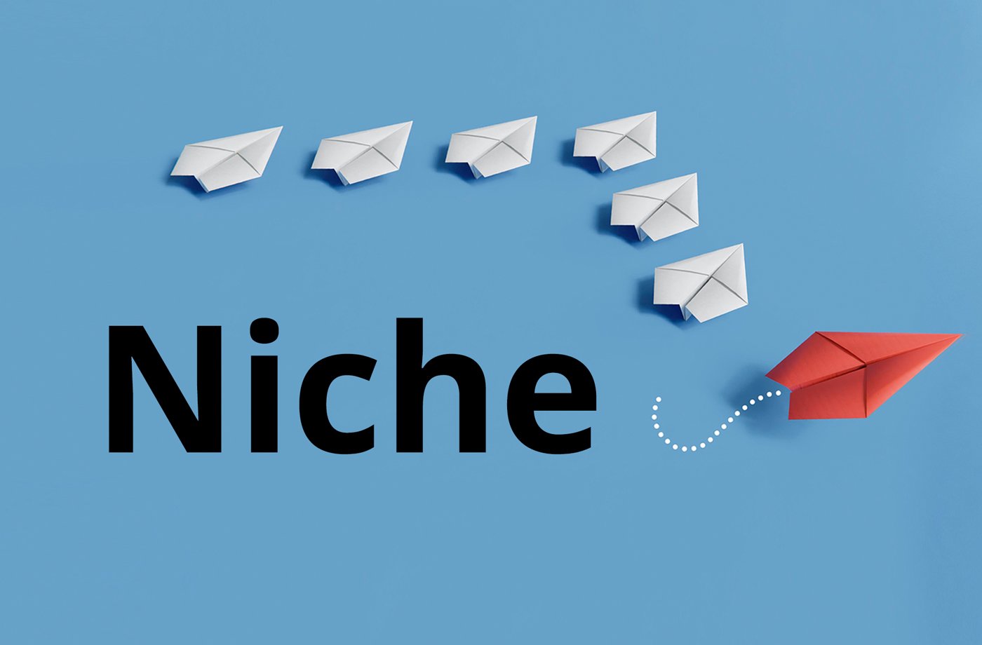 Niche Newsletters: Overview, Examples & Strategies